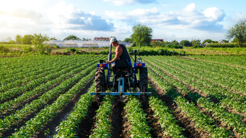 Contabilidade Para Agronegocio - LopesCon Soluções Contábeis